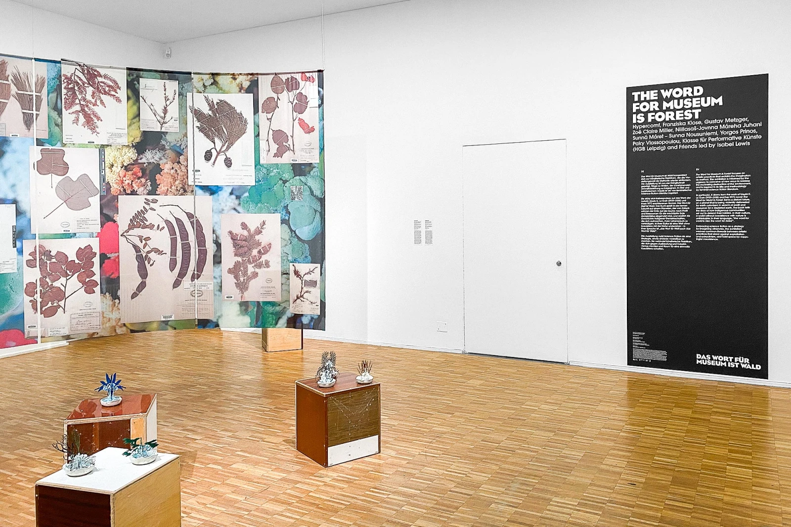 The Word for Museum is Forest