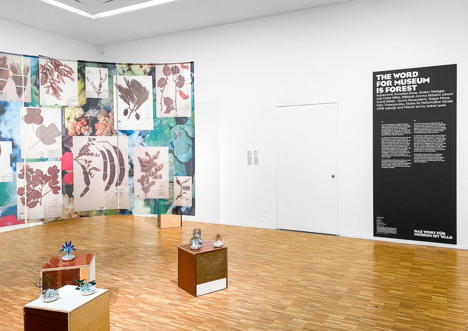 The Word for Museum is Forest
