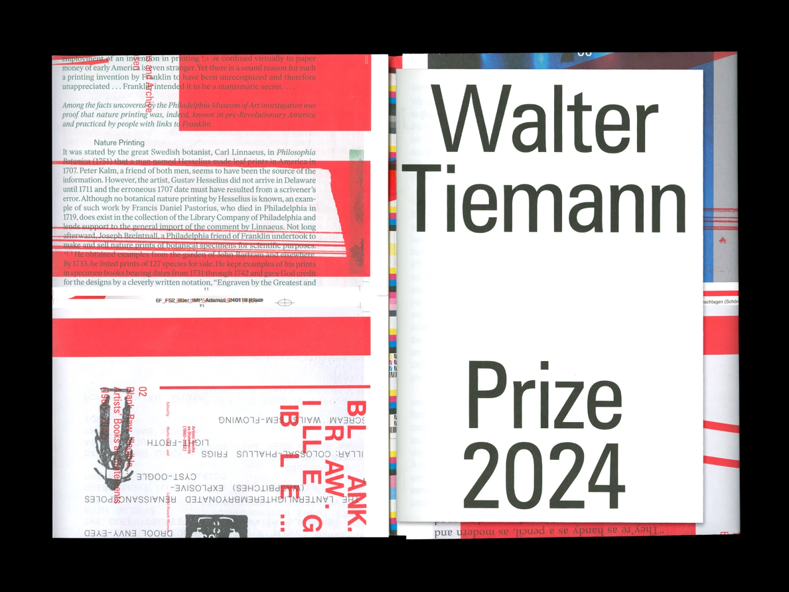 Walter Tiemann Prize 2024